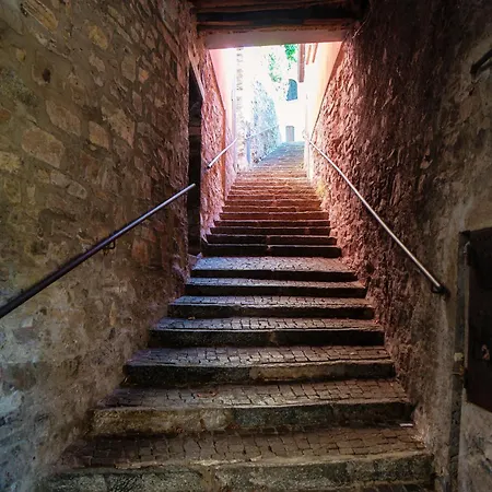 Willa Lumina - Secluded Garden Retreat - View