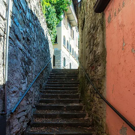 Willa Lumina - Secluded Garden Retreat - View *