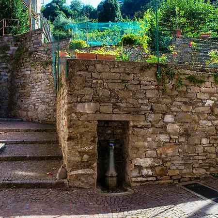 Willa Lumina - Secluded Garden Retreat - View