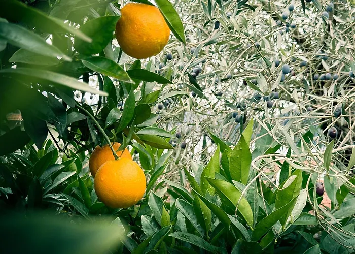 Villa Lumina - Secluded Garden Retreat - View