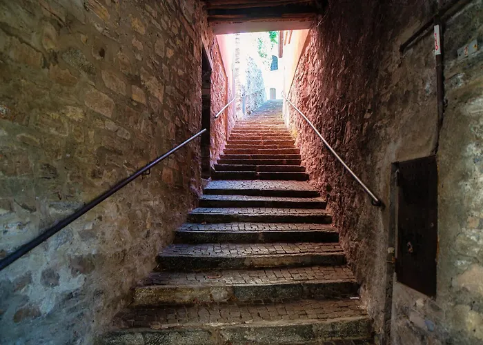 וילה Lumina - Secluded Garden Retreat - View